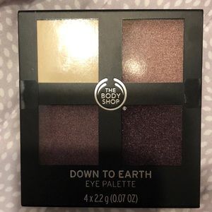 BRAND NEW DOWN TO EARTH EYE PALETTE